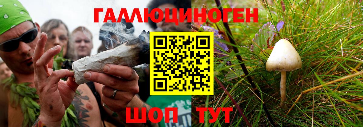 Псилоцибиновые грибы мухоморы Смоленск